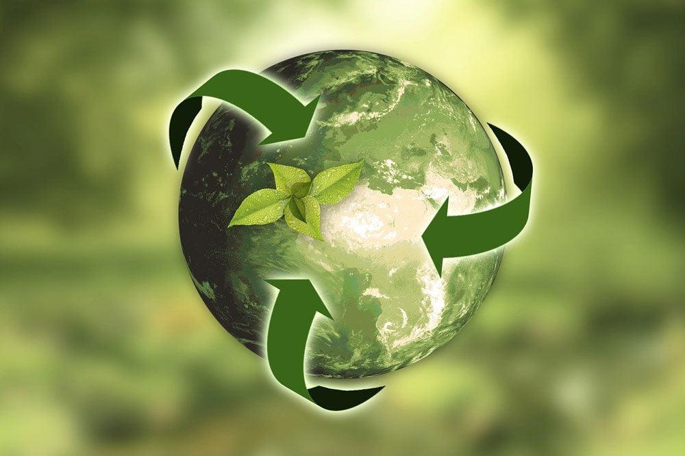 L'importance du Recyclage Image